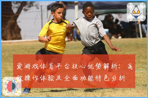 爱游戏体育平台核心优势解析：高效操作体验及全面功能特色分析